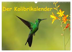 Der Kolibrikalender (Wandkalender 2024 DIN A3 quer), CALVENDO Monatskalender von Akrema-Photography,  Akrema-Photography