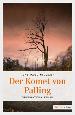 Der Komet von Palling von Niemann,  René Paul
