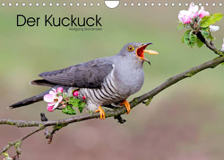 Der Kuckuck (Wandkalender 2023 DIN A4 quer) von Brandmeier,  Wolfgang