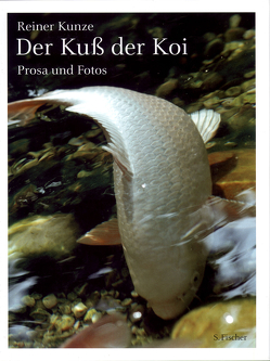 Der Kuß der Koi von Kunze,  Reiner