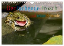 Der lachende Frosch und seine Freunde (Wandkalender 2024 DIN A4 quer), CALVENDO Monatskalender von Rufotos,  Rufotos