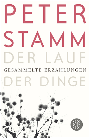 Der Lauf der Dinge von Stamm,  Peter