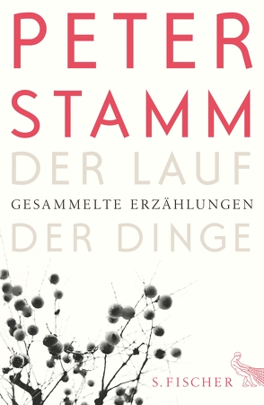 Der Lauf der Dinge von Stamm,  Peter