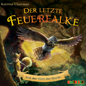 Der letzte Feuerfalke und der Stein der Macht von Charman,  Katrina, Horeyseck,  Julian