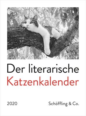 Der literarische Katzenkalender 2020 von Bachstein,  Julia