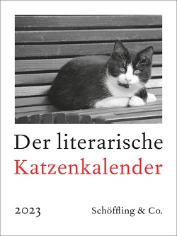 Der literarische Katzenkalender 2023 von Bachstein,  Julia