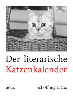 Der literarische Katzenkalender 2024 von Bachstein,  Julia