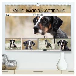 Der Louisiana Catahoula Leopard Dog (hochwertiger Premium Wandkalender 2024 DIN A2 quer), Kunstdruck in Hochglanz von SchnelleWelten,  SchnelleWelten