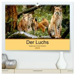 Der Luchs – Begegnungen mit einer Raubkatze (hochwertiger Premium Wandkalender 2024 DIN A2 quer), Kunstdruck in Hochglanz von Metzger,  Ralf