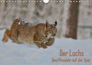 Der Luchs – Dem Pinselohr auf der Spur (Wandkalender 2019 DIN A4 quer) von Rosengarten,  Stefan