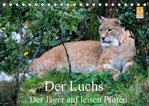 Der Luchs – Der Jäger auf leisen Pfoten (Tischkalender 2022 DIN A5 quer) von Klatt,  Arno