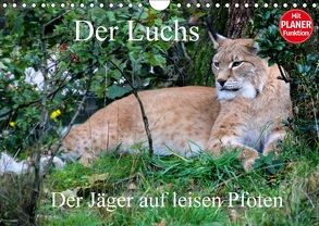 Der Luchs – Der Jäger auf leisen Pfoten (Wandkalender 2018 DIN A4 quer) von Klatt,  Arno