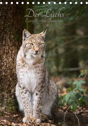 Der Luchs – Europas größte Samtpfote (Tischkalender 2019 DIN A5 hoch) von the Snow Leopard,  Cloudtail