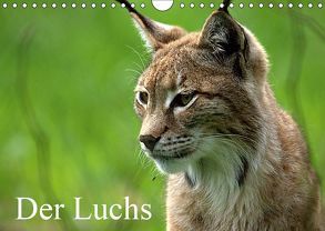 Der Luchs / Geburtstagskalender (Wandkalender 2019 DIN A4 quer) von Klatt,  Arno