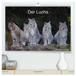 Der Luchs (hochwertiger Premium Wandkalender 2024 DIN A2 quer), Kunstdruck in Hochglanz von von Düren,  Alexander