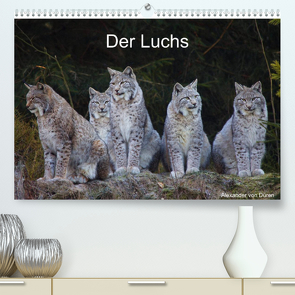 Der Luchs (Premium, hochwertiger DIN A2 Wandkalender 2023, Kunstdruck in Hochglanz) von von Düren,  Alexander