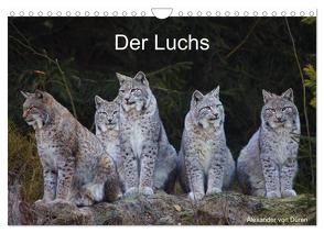 Der Luchs (Wandkalender 2024 DIN A4 quer), CALVENDO Monatskalender von von Düren,  Alexander