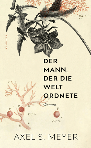 Der Mann, der die Welt ordnete von Meyer,  Axel S.