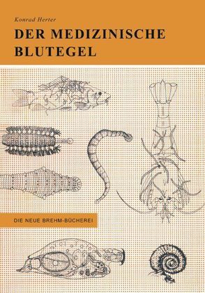 Der medizinische Blutegel und seine Verwandten von Herter,  Konrad