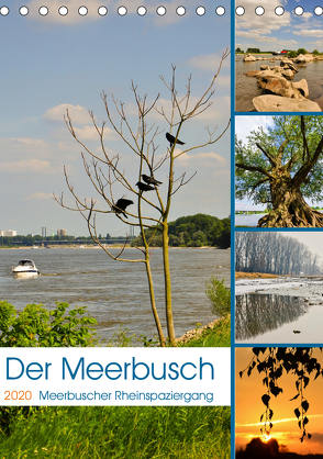 Der Meerbusch – Meerbuscher Rheinspaziergang (Tischkalender 2020 DIN A5 hoch) von Hackstein,  Bettina
