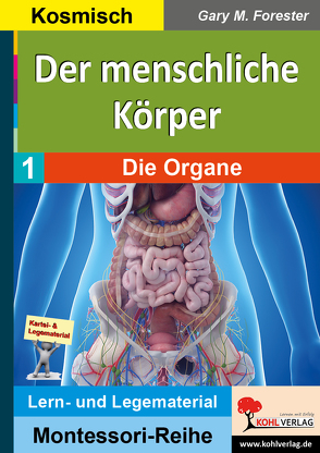 Der menschliche Körper / Band 1: Die Organe von Forester,  Gary M.