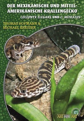 Der Mexikanische und Mittelamerikanische Krallengecko von Hofmann,  Thomas, Kreuzer,  Michael