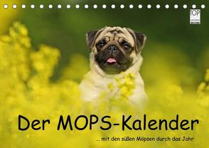 Der MOPS-Kalender (Tischkalender 2022 DIN A5 quer) von Köntopp,  Kathrin