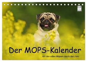 Der MOPS-Kalender (Tischkalender 2024 DIN A5 quer), CALVENDO Monatskalender von Köntopp,  Kathrin