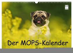 Der MOPS-Kalender (Wandkalender 2024 DIN A3 quer), CALVENDO Monatskalender von Köntopp,  Kathrin