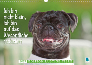 Der Mops: Nicht klein, sondern aufs Wesentliche reduziert. Edition lustige Tiere (Wandkalender 2023 DIN A3 quer) von CALVENDO