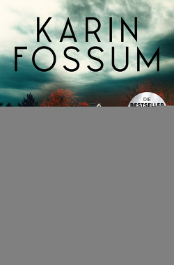 Der Nachtläufer von Fossum,  Karin, Hoffmann,  Roland