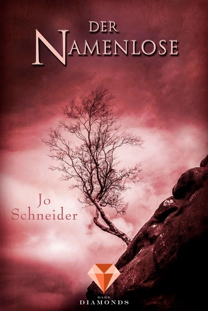 Der Namenlose (Die Unbestimmten 2) von Schneider,  Jo