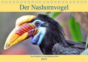 Der Nashornvogel – Der Schnabel ist sein Markenzeichen (Tischkalender 2019 DIN A5 quer) von Klatt,  Arno