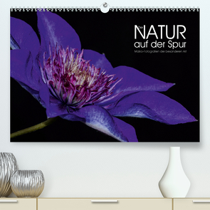 Der Natur auf der Spur – Makro-Fotografien der besonderen Art (Premium, hochwertiger DIN A2 Wandkalender 2020, Kunstdruck in Hochglanz) von Vonten,  Dirk