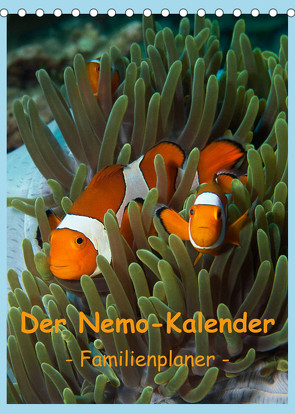 Der Nemo-Kalender (Tischkalender 2023 DIN A5 hoch) von Niemann,  Ute