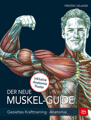 Der neue Muskel Guide von Delavier,  Frédéric