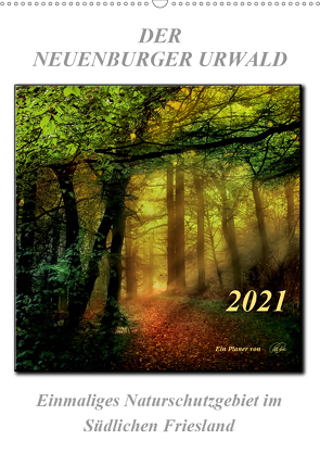 Der Neuenburger Urwald (Wandkalender 2021 DIN A2 hoch) von Roder,  Peter