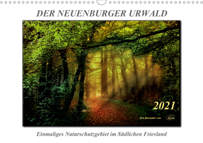Der Neuenburger Urwald (Wandkalender 2021 DIN A3 quer) von Roder,  Peter