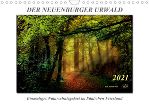 Der Neuenburger Urwald (Wandkalender 2021 DIN A4 quer) von Roder,  Peter