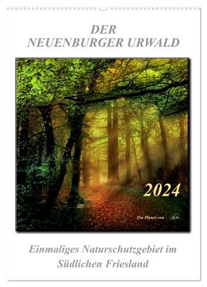 Der Neuenburger Urwald (Wandkalender 2024 DIN A2 hoch), CALVENDO Monatskalender von Roder,  Peter