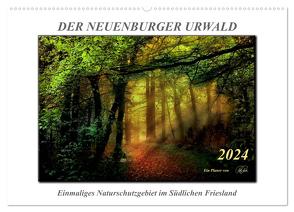 Der Neuenburger Urwald (Wandkalender 2024 DIN A2 quer), CALVENDO Monatskalender von Roder,  Peter