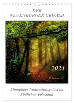 Der Neuenburger Urwald (Wandkalender 2024 DIN A4 hoch), CALVENDO Monatskalender von Roder,  Peter