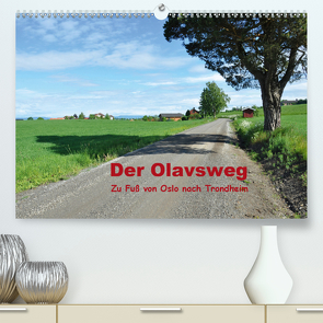 Der Olavsweg (Premium, hochwertiger DIN A2 Wandkalender 2021, Kunstdruck in Hochglanz) von Lange,  Wolfgang