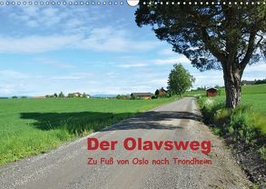 Der Olavsweg (Wandkalender 2019 DIN A3 quer) von Lange,  Wolfgang