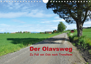 Der Olavsweg (Wandkalender 2020 DIN A4 quer) von Lange,  Wolfgang
