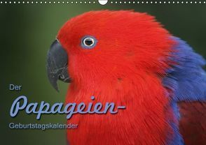 Der Papageien-Geburtstagskalender (Wandkalender immerwährend DIN A3 quer) von Berg,  Martina