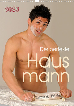 Der perfekte Hausmann – Tipps & Tricks (Wandkalender 2023 DIN A3 hoch) von malestockphoto