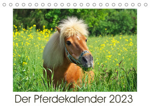 Der Pferdekalender (Tischkalender 2023 DIN A5 quer) von DESIGN Photo + PhotoArt,  AD, Dölling,  Angela