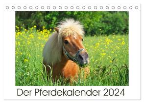 Der Pferdekalender (Tischkalender 2024 DIN A5 quer), CALVENDO Monatskalender von Dölling,  AD DESIGN Photo + PhotoArt,  Angela