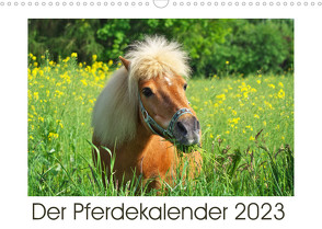 Der Pferdekalender (Wandkalender 2023 DIN A3 quer) von DESIGN Photo + PhotoArt,  AD, Dölling,  Angela